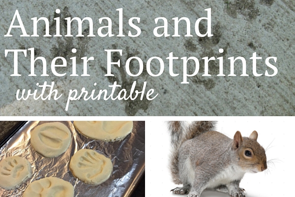 Animal Footprints Printable and Salt Dough Prints (Printable) – Mostly  Montessori